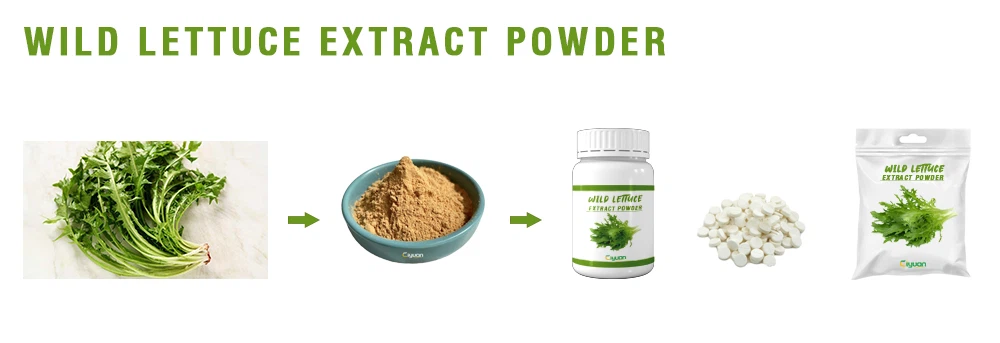 Wild Lettuce Extract Powder.png